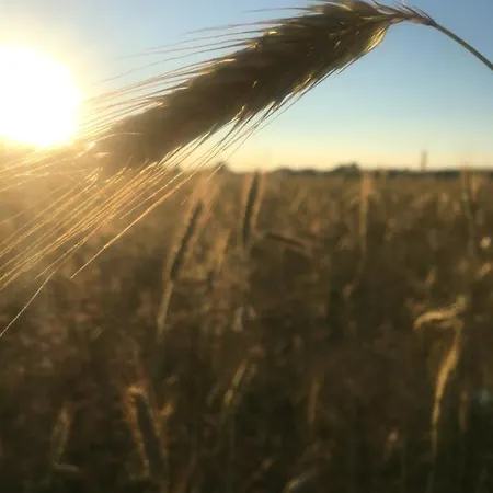 Annemarie - Schwedenhaus Mit Kuenstler-charme Und Sauna Σπίτι διακοπών *