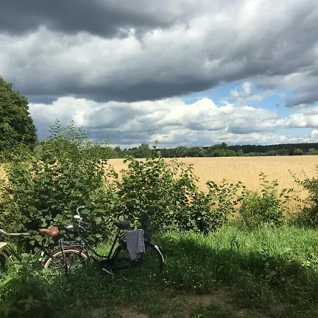 Annemarie - Schwedenhaus Mit Kuenstler-charme Und Sauna Zerpenschleuse