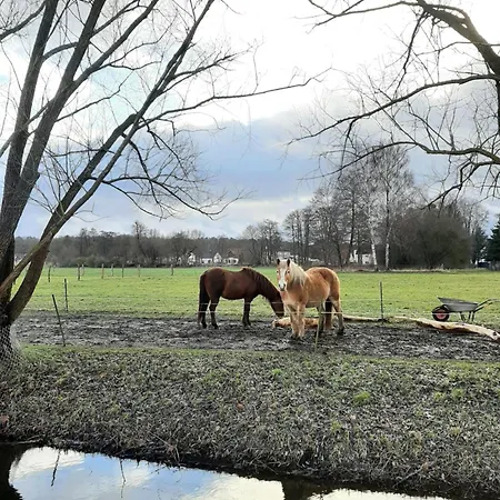 Annemarie - Schwedenhaus Mit Kuenstler-charme Und Sauna Zerpenschleuse