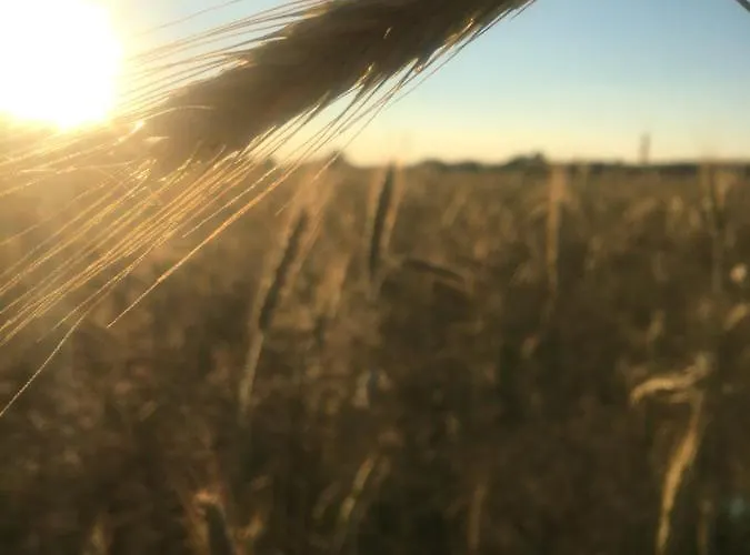 Annemarie - Schwedenhaus Mit Kuenstler-charme Und Sauna بيت للعطل *