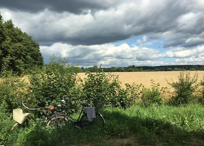 Annemarie - Schwedenhaus Mit Kuenstler-charme Und Sauna Zerpenschleuse