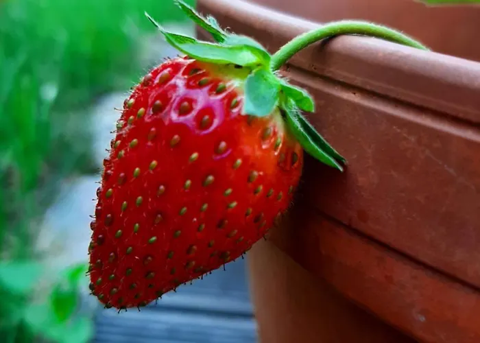 Prázdninový dům Annemarie - Schwedenhaus Mit Kuenstler-charme Und Sauna Zerpenschleuse