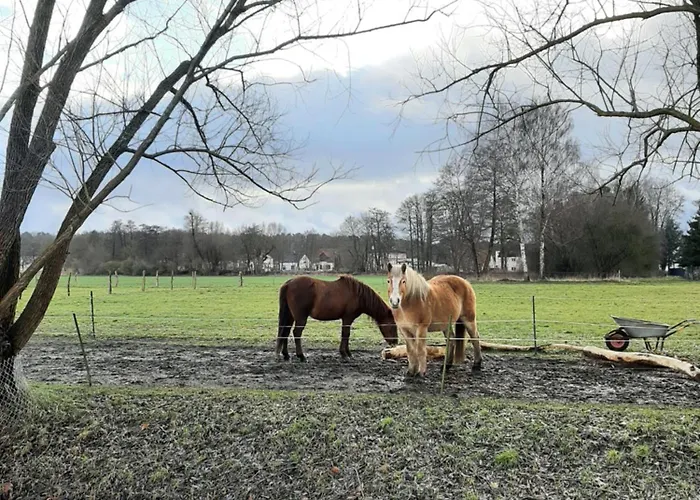 Annemarie - Schwedenhaus Mit Kuenstler-charme Und Sauna Zerpenschleuse
